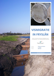 Vismigratie in Fryslân