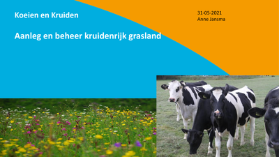 [Eindpresentatie project ‘Koeien en Kruiden’]