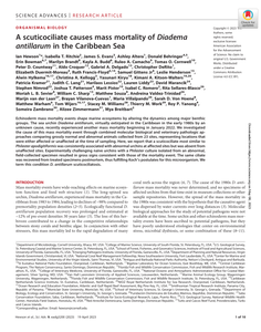 A scuticociliate causes mass mortality of Diadema antillarum in the Caribbean Sea