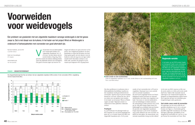 Voorweiden voor weidevogels