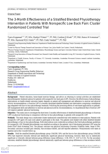 The 3-Month Effectiveness of a Stratified Blended Physiotherapy Intervention in Patients With Nonspecific Low Back Pain: Cluster Randomized Controlled Trial