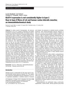 GLUT-4 expression is not consistently higher in type 1 than type 2 fibres of rat and human vastus lateralis muscles: an immunohistochemical study.