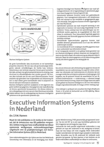 Executive Information Systems in Nederland